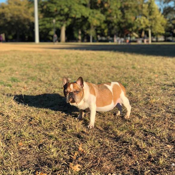 Meet your Posher, Vivianne - Picture 1 of 1